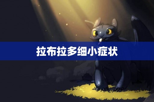 拉布拉多細小癥狀
