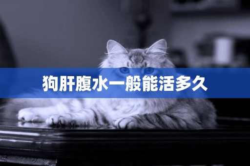 狗肝腹水一般能活多久