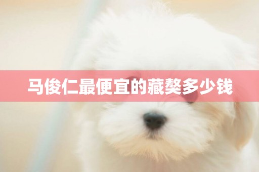 馬俊仁最便宜的藏獒多少錢