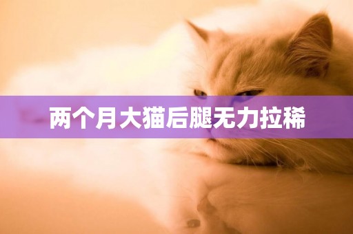 兩個月大貓后腿無力拉稀