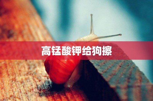 高錳酸鉀給狗擦