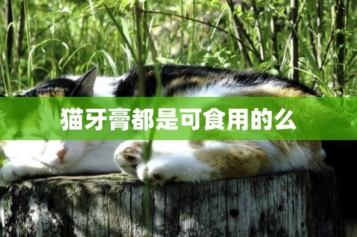 貓牙膏都是可食用的么