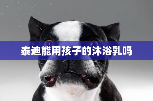 泰迪能用孩子的沐浴乳嗎