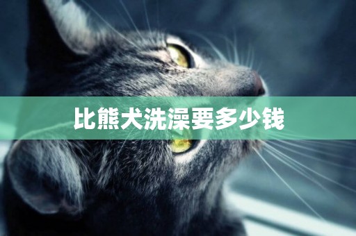 比熊犬洗澡要多少錢