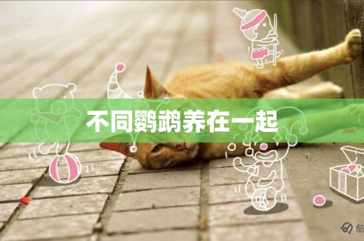 不同鸚鵡養在一起
