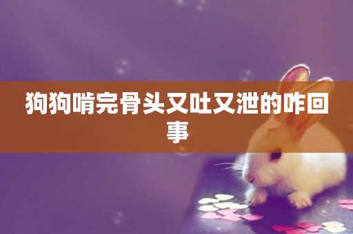 狗狗啃完骨頭又吐又泄的咋回事