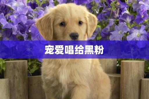 寵愛唱給黑粉