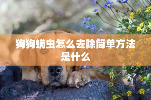 狗狗螨蟲怎么去除簡單方法是什么