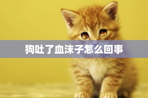 狗吐了血沫子怎么回事