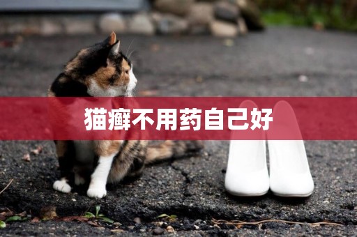 貓癬不用藥自己好