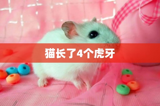 貓長了4個虎牙