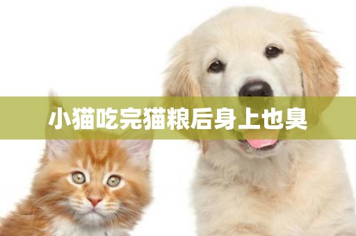 小貓吃完貓糧后身上也臭
