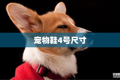 寵物鞋4號尺寸