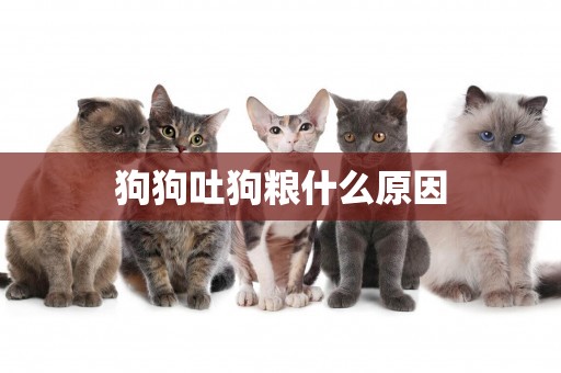狗狗吐狗糧什么原因