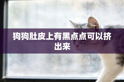 狗狗肚皮上有黑點點可以擠出來