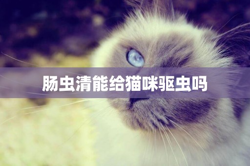 腸蟲清能給貓咪驅蟲嗎