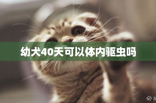 幼犬40天可以體內驅蟲嗎