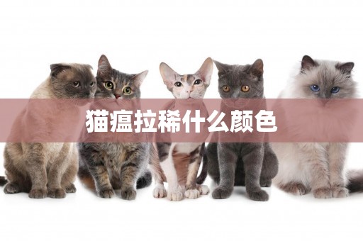 貓瘟拉稀什么顏色