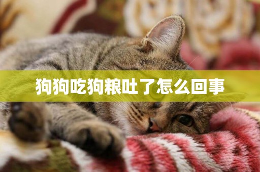 狗狗吃狗糧吐了怎么回事