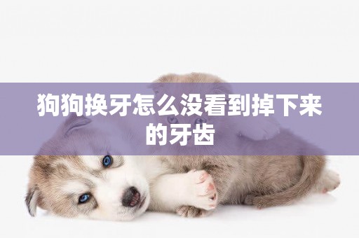 狗狗換牙怎么沒看到掉下來的牙齒