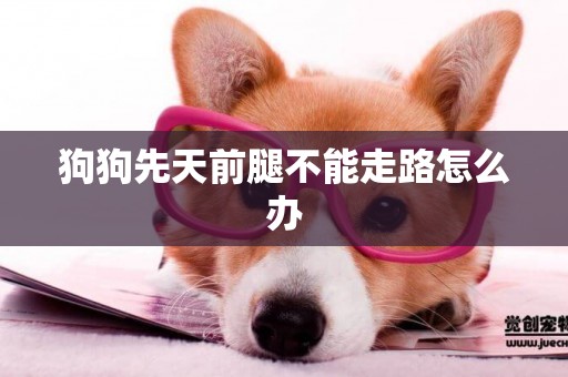 狗狗先天前腿不能走路怎么辦