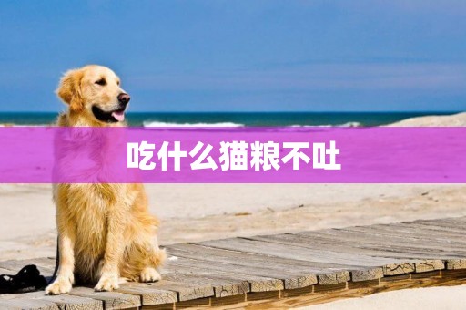 吃什么貓糧不吐