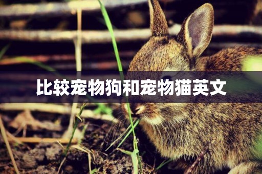 比較寵物狗和寵物貓英文