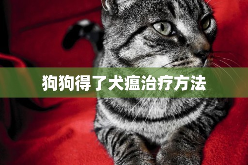 狗狗得了犬瘟治療方法