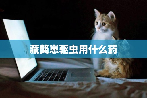 藏獒崽驅蟲用什么藥