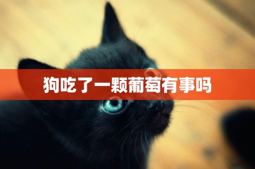 狗吃了一顆葡萄有事嗎