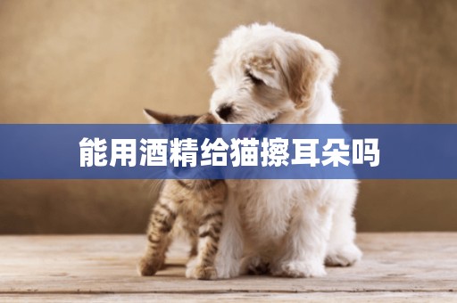 能用酒精給貓擦耳朵嗎