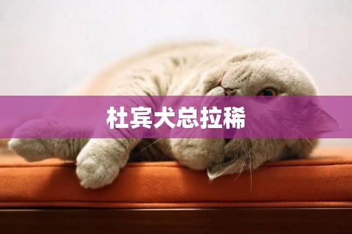 杜賓犬總拉稀