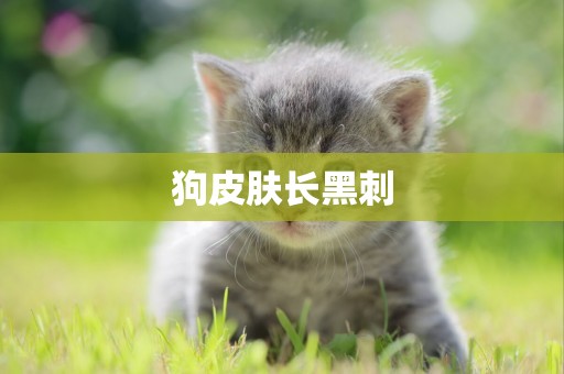 狗皮膚長黑刺