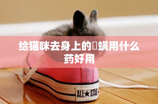 給貓咪去身上的庎螨用什么藥好用