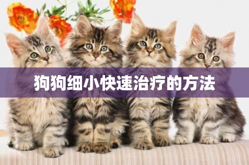 狗狗細小快速治療的方法