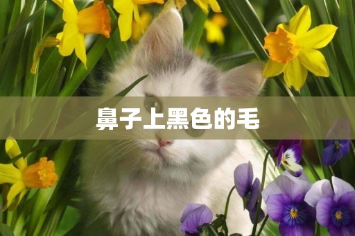 鼻子上黑色的毛