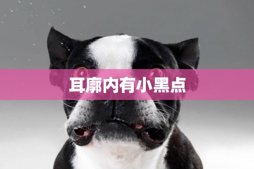 耳廓內有小黑點