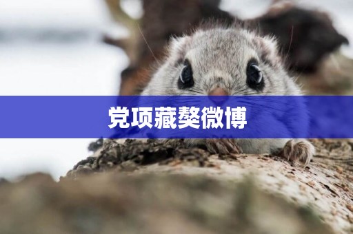 黨項藏獒微博