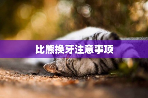比熊換牙注意事項