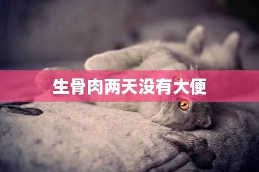 生骨肉兩天沒有大便