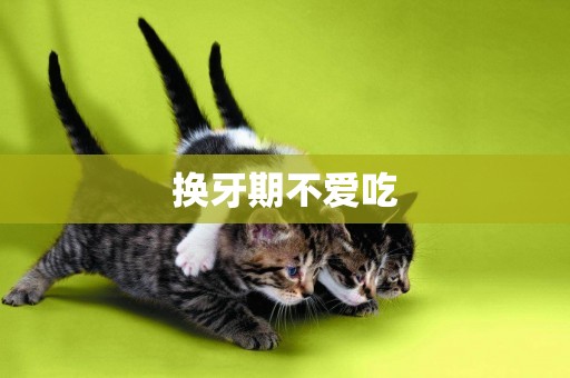 換牙期不愛吃