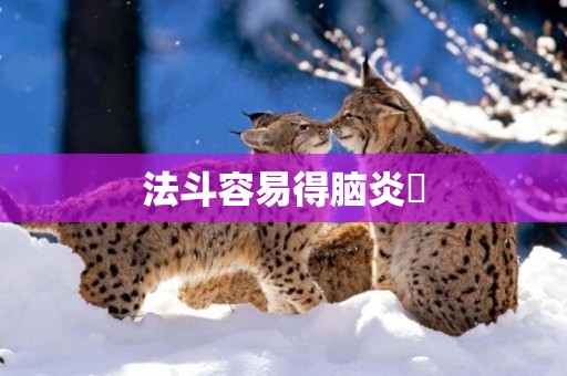 法斗容易得腦炎嚒