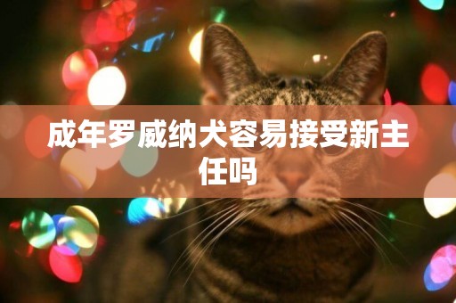 成年羅威納犬容易接受新主任嗎