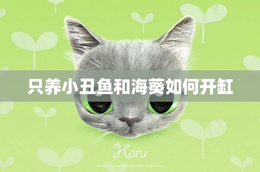 只養小丑魚和海葵如何開缸