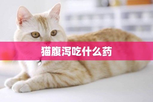 貓腹瀉吃什么藥