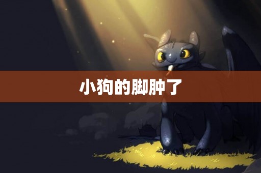 小狗的腳腫了