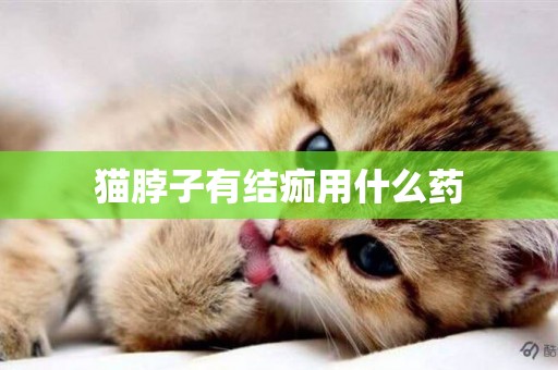貓脖子有結痂用什么藥