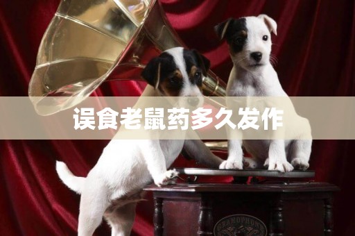 誤食老鼠藥多久發作