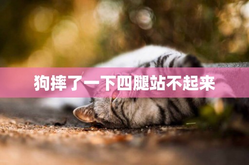 狗摔了一下四腿站不起來