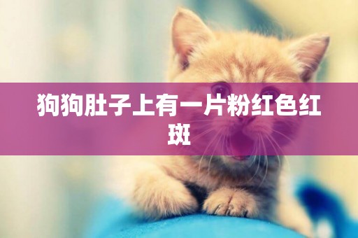 狗狗肚子上有一片粉紅色紅斑